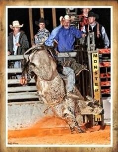 Bull #4/5 Blue Alien at a rodeo competition